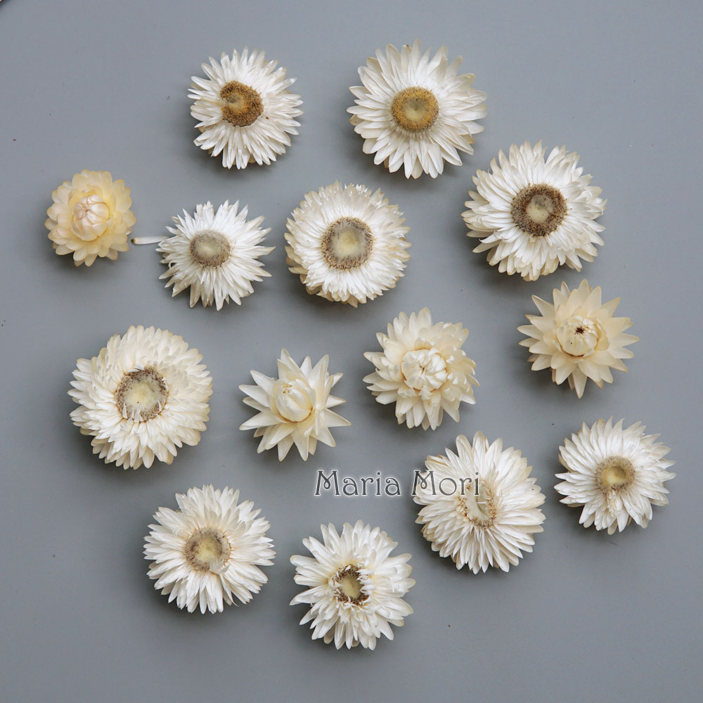 Natural Dried Colorful Chrysan - đánh giá và giá Candle Making Supplies Online